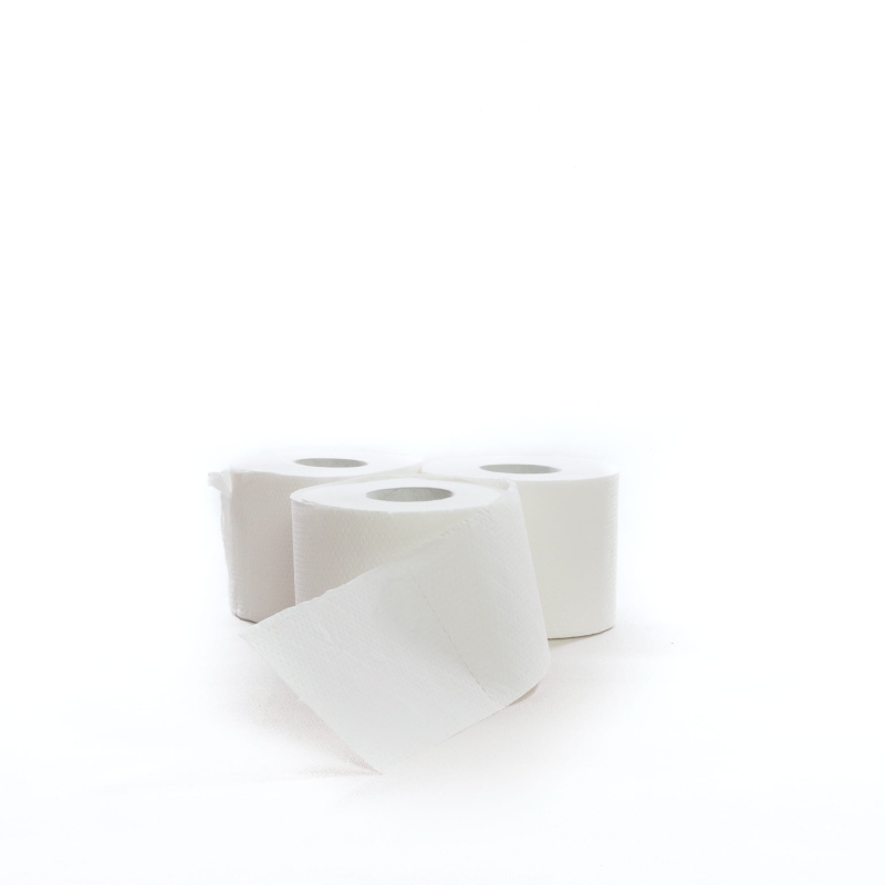 Papier toaletowy BIGS 3w celuloza op. 64 szt.-adc512d3d60b58a26d7d194acda20d4f